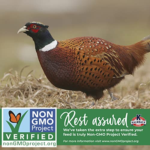 Kalmbach Feeds Start Right Non-GMO Turkey & Gamebird Crumble Feed, 50 lb Bag