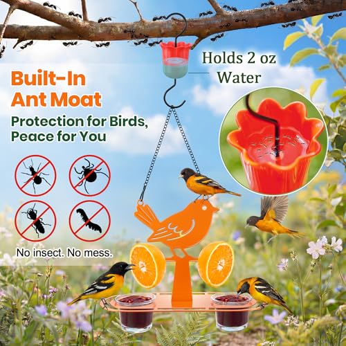 Oriole Feeder for Outdoors, Unique Bird Shaped Baltimore Oriole Feeder with 2 Jelly Cups & Orange Holder, Built-in Ant Moat, Orange Bird Feeders for Outdoors Hanging for Backyard(1 Pack)