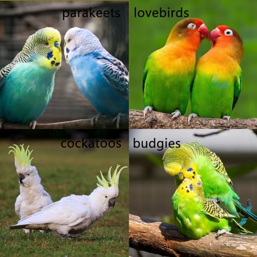 Stainless Steel Bird Ladders 9-Step Parrot Ladder Hanging Bird Cage Climbing Toys with Hooks Birds Exercise Toy for Parakeets, Parrots, Cockatoo，Rust-Resistant and Easy to Clean (1 PCS) - color: 1 PCS