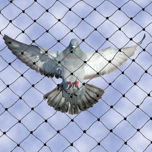 Bird B Gone Bird Net 2000 (Black) - (25' x 25') – 3/4" Mesh Heavy-Duty Bird Netting – Knotted Polyethylene Exclusion Net for All Bird Species - color: Black, size: 25x25