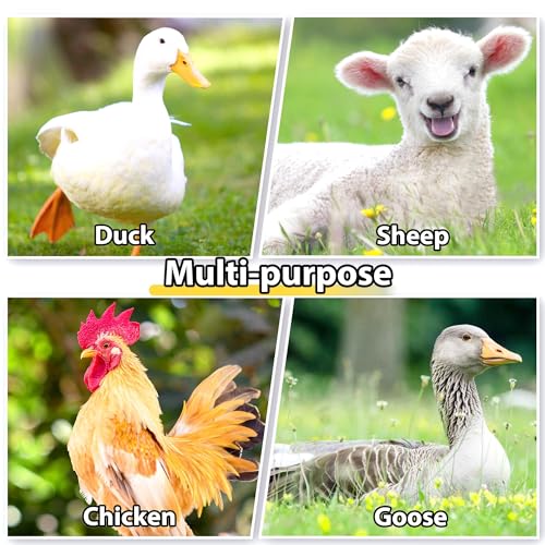 Large Metal Chicken Coop, Chicken Runs for Yard with Cover Walk-in Poultry Cage for 10 20 Chickens, Chicken Pen Duck Coop Hen House with Water-Resident Top and Feeding Door 19.2Lx9.84Wx6.6H FT - size: 230.0"L x 118.0"W x 79.2"H