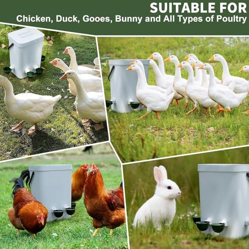 Chicken Waterer 8-Pack Automatic Chicken Waterer Cups - No Waste Poultry Watering Solution for Chicken, Duck, Goose, Turkey with Easy Mounting System Poultry Waterer