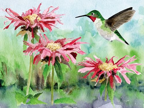 New York Puzzle Company - Cornell Lab Ruby-Throated Hummingbird - 1000 Piece Jigsaw Puzzle for Adults by Megan Gnekow - color: Ruby-throated Hummingbird 1000 Piece