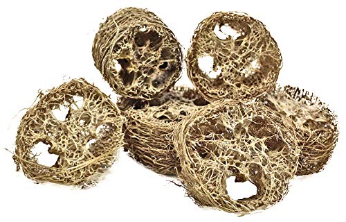 Bonka Bird Toys 3404 Pk6 Small Loofah 2" Diameter by 1.50" Thick Slices Medium Parrot Chew Foot Talon Cage Toy, Conure, Quaker, Ringneck, and Similar