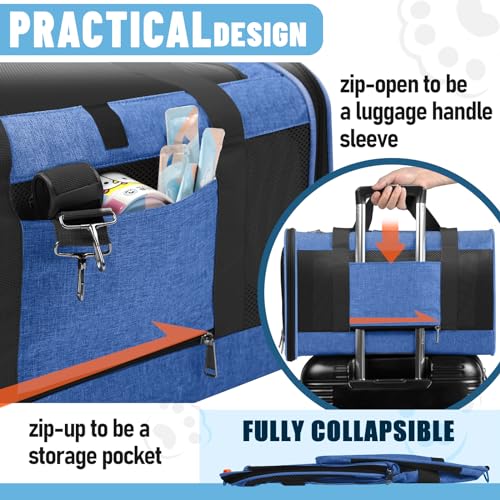 GAPZER Large Cat Carrier Soft, Collapsible Travel Pet Carry Bag, Small Dogs | Large Kitty Cat 20 lbs Maine Coon, Top Load Transport Small Puppy Dog Kennel, Yorkie Little Dog 10lbs, Sturdy Fabric Blue - color: Blue