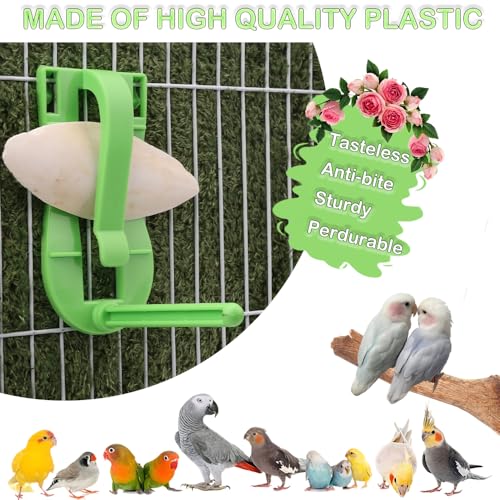 2 Pcs Bird Cage Cuttlebone Holder Fruit Vegitable Bracket with Perches Stand with 4 Pcs Cuttlebone for Parrot Budgie Conure