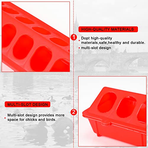 4 Pcs Plastic Flip Top Quail Feeder, Red, Green | Small Plastic Chicken Feeder, Quail Pigeon Duckling Drinker, No Mess No Waste, Multihole Birds Feeding Dish Dispense