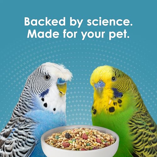 Kaytee Forti-Diet Pro Health Nourish+Protect Parakeet Food, 2 Pounds | Balanced digestion daily. Parakeet seed with superfoods. Prebiotics, probiotics, small bird food - size: 32 Ounce (Pack of 1)
