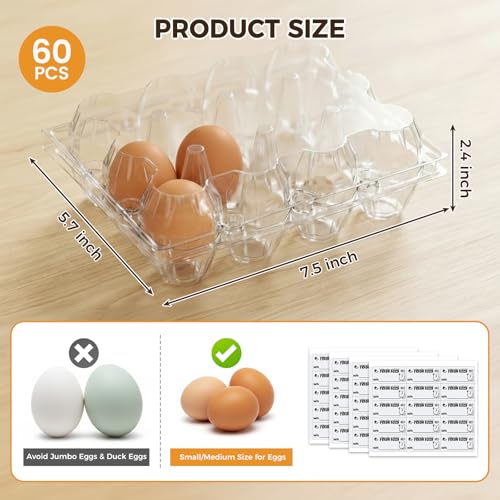 HANSGO 60 PCS Plastic Egg Cartons Cheap Bulk with Date Labels, 12 Count | Clear Reusable Egg Containers for Fresh, Medium Eggs Storage, Suitable for Farms, Families, Markets Display - color: 60PK-12CT