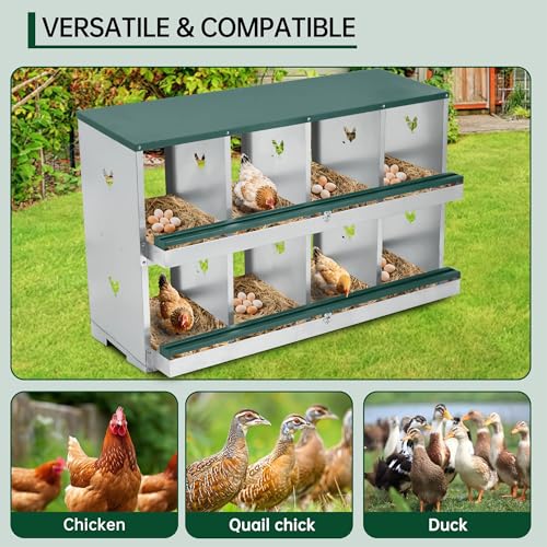 Garvee Chicken Nesting Box, 10 Compartments Nesting Box for Chickens, Galvanized Steel Chicken Laying Box for Easy Egg Collection, Wall Mounting - color: Green | 10 Compartment