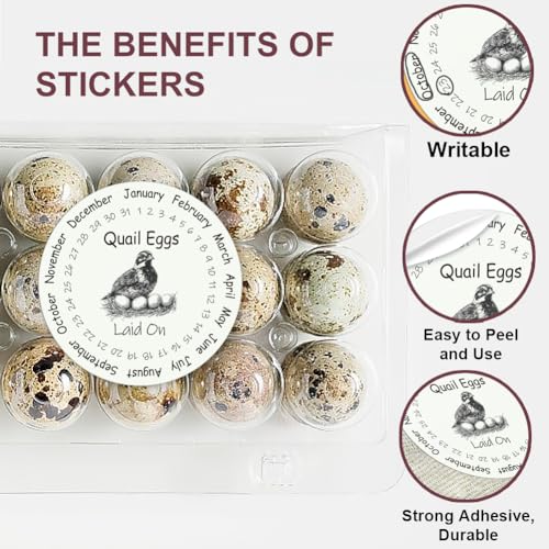 320 Pcs Quail Farm Fresh Eggs Stickers, 2 Inch Round Unwashed Eggs Carton Labels Sticker PET Adhesive Egg Packaging Stickers for Box Container Carton Farm Supplies - color: Quail Eggs