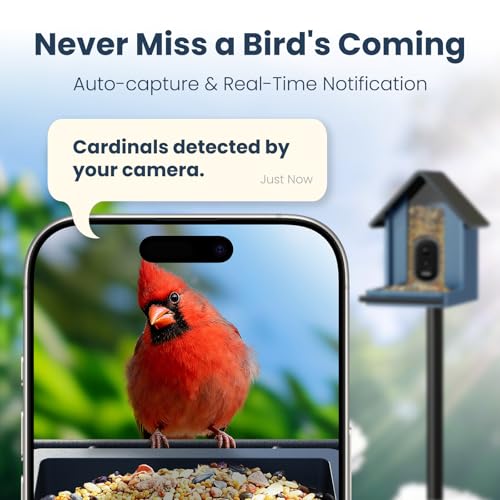 Smart Metal Bird Feeder with Camera, Deep Blue | Squirrel Proof, 2.5K UHD AI Identification, Wireless Solar Powered, Real-time Videos & IMG, Outdoor for Garden Birding, Gift - color: Blue