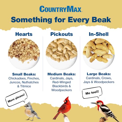 CountryMax Backyard Seeds Peanut Hearts - High-Energy Wild Bird Food, 50 lbs (50 Pounds) - size: 50 Pound (Pack of 1), style: Peanut Hearts