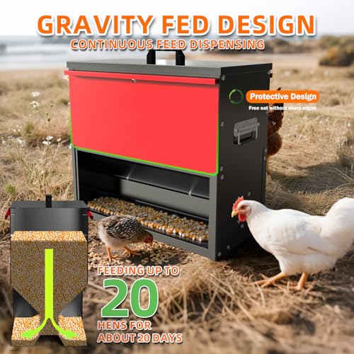 100lb Capacity Automatic Chicken Feeder | Metal Poultry Feeder, No Waste Waterproof Chicken Feeder, Suitable for Geese, Ducks, Turkeys, Quails - size: 100LB