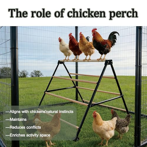 XCL Chicken Roosting Bars, Large Chicken Perch for Coop, A-Shaped Chicken Perch for Adult Chickens, Easy to Install Farm Chickens Roost Toys, Suitable for Backyard Poultry Perches, Accessories (L) - size: L