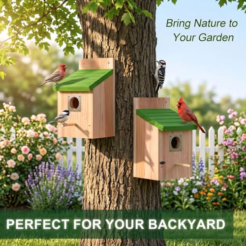 CHILDLION 2 Pack Bird Houses for Outside Clearance with Metal Guard, Fir Wooden Bird Houses, Hanging Bird Nesting Box for Backyard Garden Wild Birds