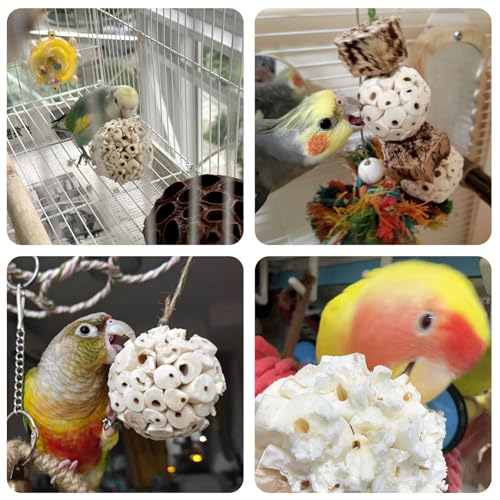 6PCS Natural Sola Balls Bird Chew Toys 2.36", Soft Shredding Biting Toy for Parakeets, Cockatiels, Budgies, Conures, Lovebirds & Small Pets