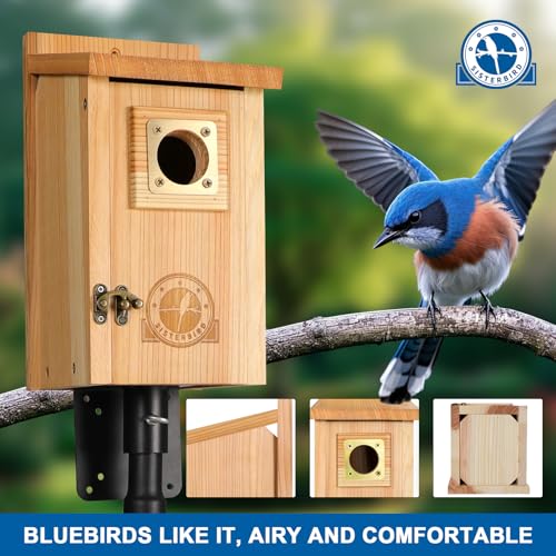 SISTERBIRD 2 Pack Bird Houses for Outside Clearance with Copper Guard, Cedar Bird House Outdoor, Bluebird Finch Swallow Wren Chickadee Assembly Required - color: Burly Wood & Copper-colored --2PK