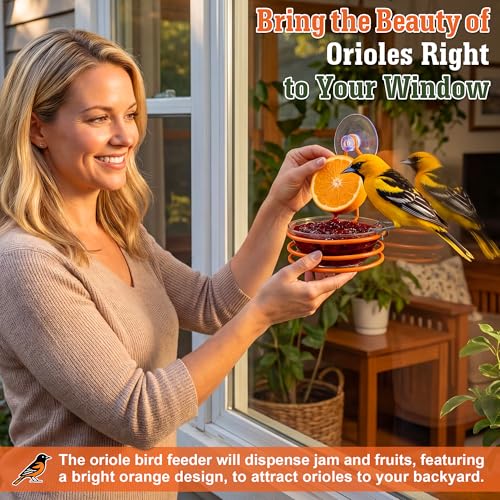 2 Set Window Oriole Feeders for Outdoors, 6 oz | Hanging Metal Oriole Bird Feeder for Jelly and Oranges with Fruit Holder & Strong Suction Cup for Window, Garden, Patio