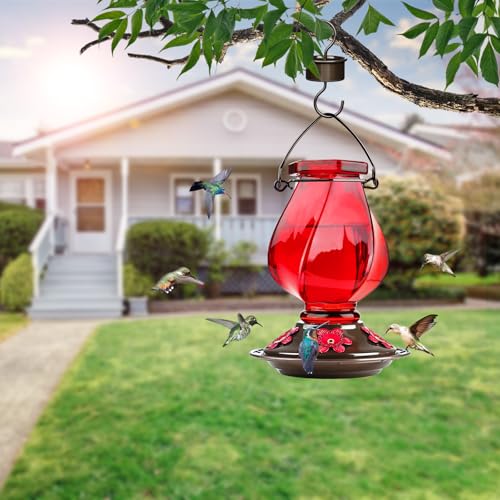 Glass Hummingbird Feeders for Outdoors Hanging, Ant Moat, Red, 22oz | 5 Feeding Ports, 360° Perch, Leak Proof, Easy Refill & Clean, Attractive Garden Decor, Birthday Gifts for Women Men Mom Dad - color: Ruby Red