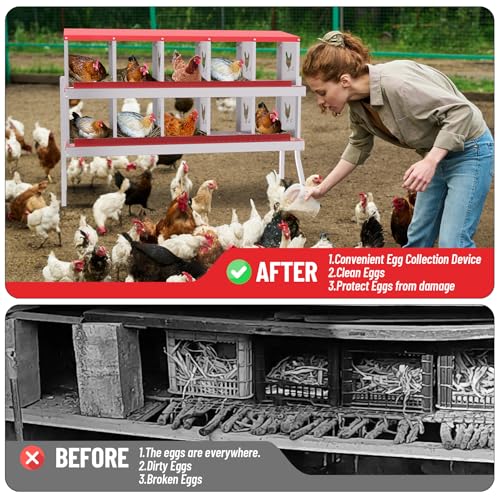 Galvanized Steel Chicken Nesting Box Set, 10-Compartment with Frame, Heavy-Duty Metal Egg Laying Station for Poultry Coop, Easy Clean Hens Nest with Vented Perforations - size: 10 Holes with Legs