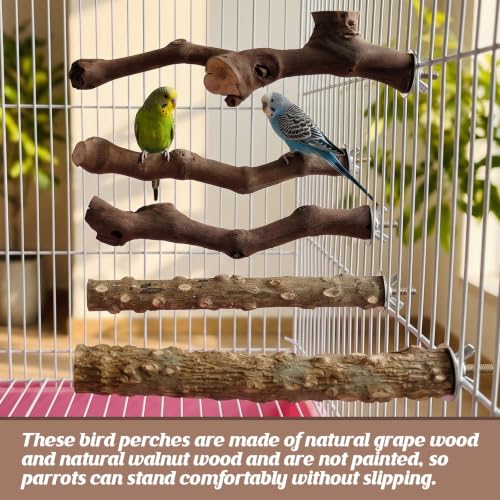 5PCS Bird Perch Stand Natural Wooden Parrot Stand Branch,3 Grape Wood Perch,2 Stand,Paw Grinding Fork Parakeet Chewing Stick Exercise Training Branches for Cockatiels,Small Medium Birds