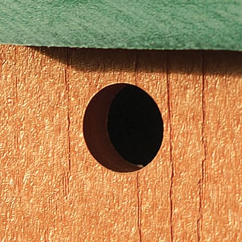 Audubon Going Green Wren House Model NAGGWREN
