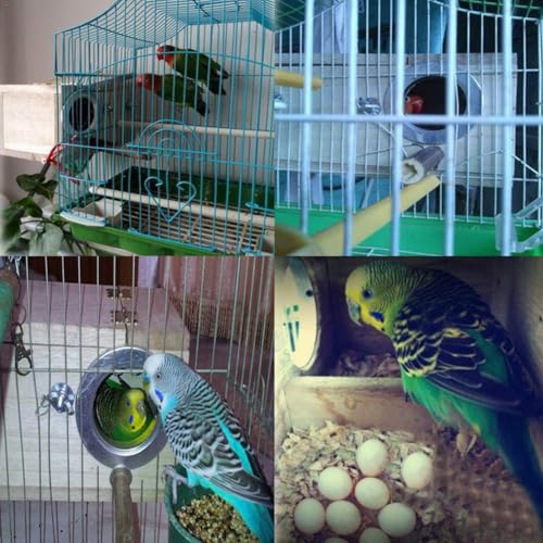 Parakeet Nesting Box, Bird Nest Breeding Box Cage Wood House for Finch Lovebirds Cockatiel Budgie Conure Parrot, 8'' X 5'' X 5'' - size: Small: 8" x 5" x 5"