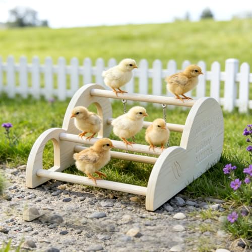 Chicken Perch with Swing & Mirror, Waterproof PVC Roosting Stand for Hens Activity Gym for Chick Toys & Bantams, Durable Easy-Clean Coop and Brooder