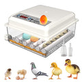 Incubators for Hatching Eggs Fahrenheit 12-16 Eggs Incubator with Automatic Egg Turning and Egg Candler Incubator for Chicken Quail Duck Pigeon Eggs Poultry Incubators