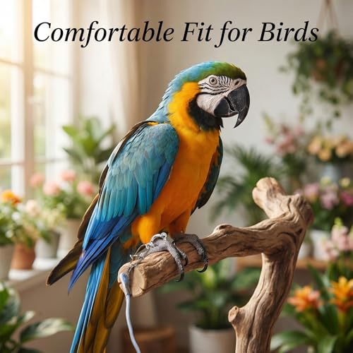Bird Leash and Parrot Harness with Leg Ring. 2 Sets Elastic Outdoor Training Rope for Parakeet Conure Cockatiel. Anti-Flyaway Flying Equipment for Small Medium Birds