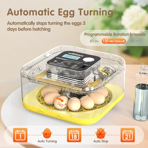 HOWOOlUA 12 Egg Incubator for Hatching Eggs with Auto Turn, Temp & Humidity Control, Built-in Candler Large Capacity Egg Incubator for Chicken Duck Goose Eggs (Yellow)