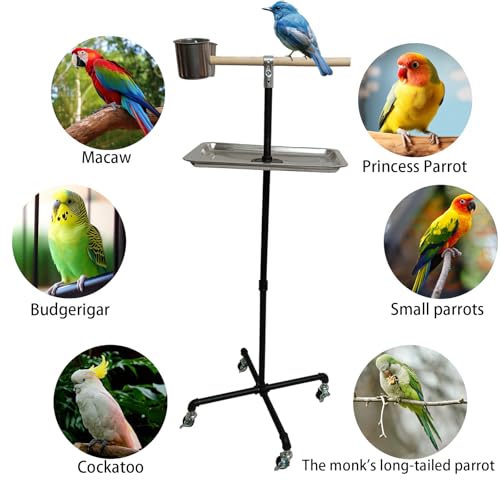 Stainless Steel Tray Bowls Bird Perch Stand,with Wheels Parrot Stand,Parrot Perch Stand 2 Stainless Steel Cups,Bird Play Stand for Indoor Outdoor(Black