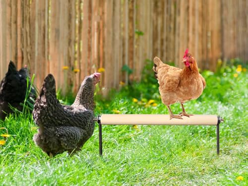 Chicken Perch Toys, Wooden Chick Perch Stand with Metal Ground Plug, Outdoor Birds Training Platform, Chicken Coop Accessories, Suitable for Poultry Rooster Chicks Large Birds Chicks Parrots - size: 17.7 Inch Long