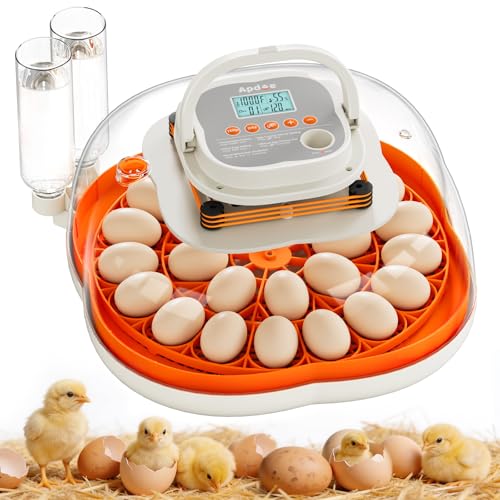 APDOE Egg Incubators for Hatching Eggs, Temperature and Humidity Control, Automatic Egg Turning, Egg Candler, External Water Bottle, Air Vent, for Chicken, Duck & Quail Eggs, 25 Eggs - color: Orange, size: 25 Eggs