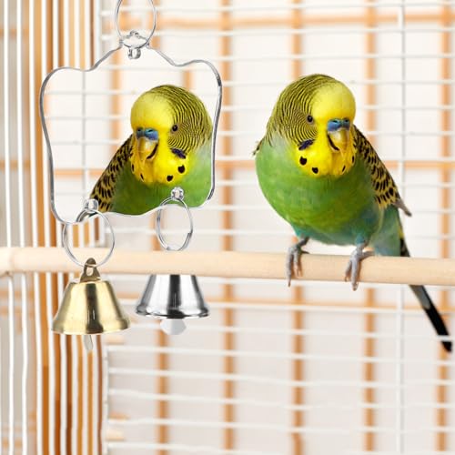 Hypeety Bird Mirror Toy with Bells Cage Hanging Mirror for Parakeets | Clear acrylic mirror with 2 bells, with protective film, easy to hang, fun swing toy, for parakeets/cockatiels/finches/conure