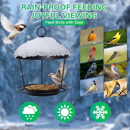DoReFaSolWild Bird Feeders Hanging Balcony Bird Feeder Hanging Bird Bath | Bird Feeder for Outdoor Hanging Bird Bath and Feeder with Chain and Hook Hanging Bird Feeder with Roof Bird Feeder For Patio - size: S