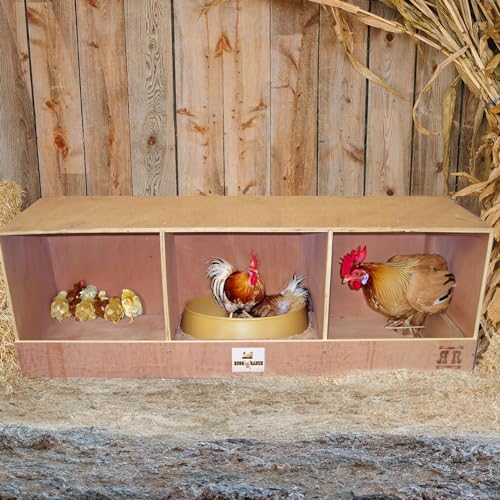 Rugged Ranch 4-Pack Triplex 36"x12"x12" Triple-Compartment Hen Nest Cubbies for 12 to 24 Hens - Wooden Chicken Coop Accessories for Interior Use, Furniture-Grade Wood, Easy Assembly