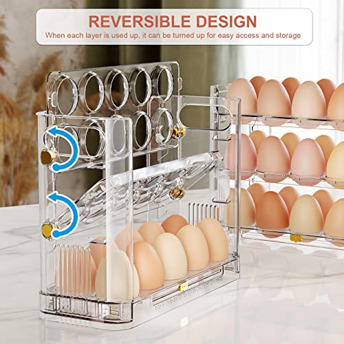 Reversible Egg Holder for Refrigerator and Countertop - Clear 30-Egg Storage Tray