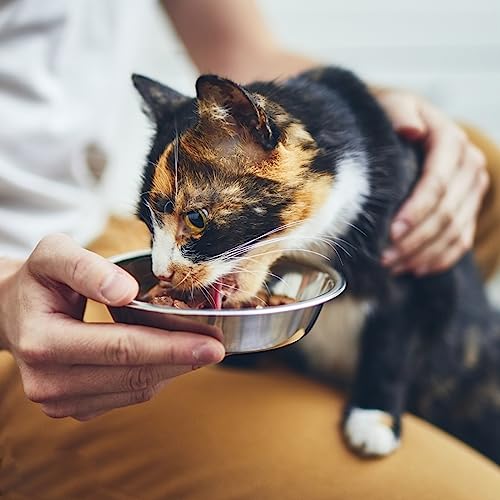 4 Pcs Stainless Steel Cat Bowls, 5.5 Inch Whisker Friendly Shallow Cat Food Bowls, Small Metal Pet Dish for Kittens and Indoor Cats, Basic Replacement Plates for Elevated Feeder Stands,Dishwasher Safe