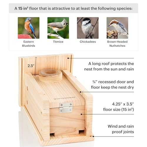 WHITEHORSE Bluebird House - Weatherproof Bird House for Outdoors - Cedar Birdhouse Built to NABS Specs - Nest Box for Bluebirds, Chickadees, Titmice, Wrens, Nuthatches & More (15” Floor)