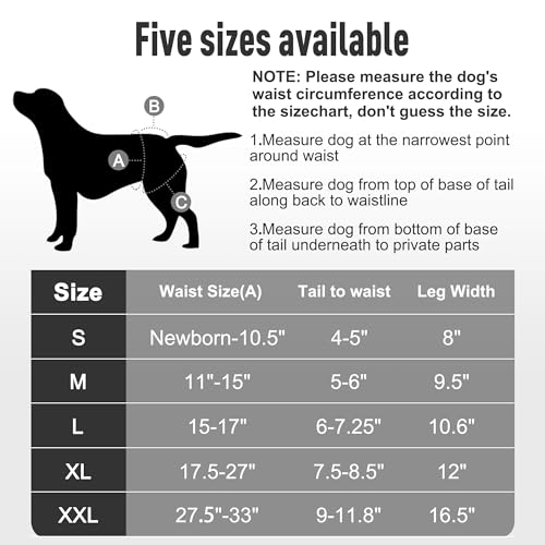 Washable Reusable Female Dog Diapers(5 Pack) Small Medium Large Doggie Puppy & Doggy Dog Diaper, Period Panties in Heat XX-Large Black - color: Black, size: XX-Large