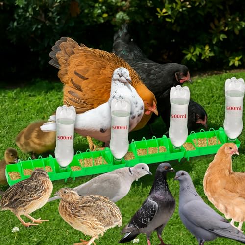 4PCS 2-in-1 Chicken Feeder and Waterer Set No Waste | Spliceable No Waste Quail Feeder, Automatic Waterer,Chick Feeder,Chick Coop Accessories for Chicken, Ducks, Quail and Pigeons - color: Green
