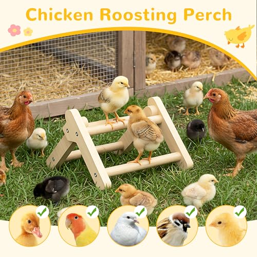 INNOALND Chick Perch Foldable, Chick Toys Stable & No Assemble | Baby Chick Toys for Stand Training, 8.27" × 7.68" × 4.92" Roosting Perch for Chicks Brooder | Coop (S) - size: 8.27" × 7.68" × 4.92"