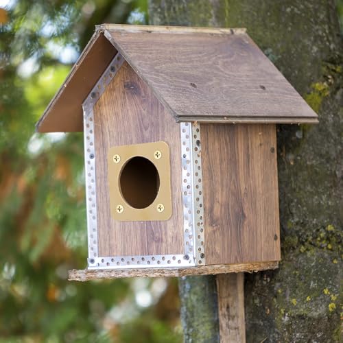 8PCS Metal Bird House Guard, Steel Birdhouse Entry Portal Hole Protector with Size 2x2in, Ideal for Eastern Bluebird Rooms Sparrow Houses, Made from Premium Steel