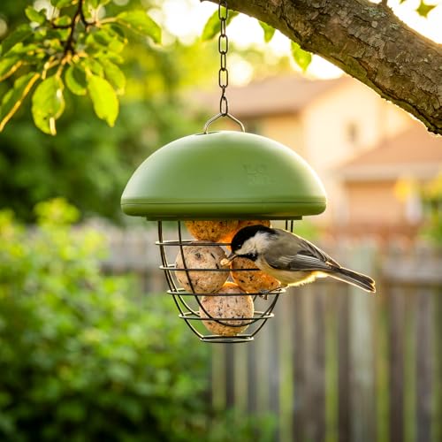 LONA Suet Ball Bird Feeder Outdoor Hanging Fat Ball Feeders with Versatile Mount Durable Weatherproof Washable Transparent Tube Wire Steel Metal Feeder for Wild Birds - style: Style2-Normal Cage