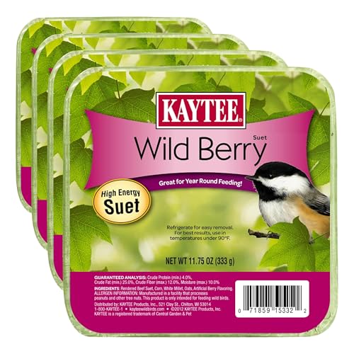 Kaytee Wild Berry High Energy Bird Suet, 11.75 Oz (Pack of 4) - size: 11.75 Ounce (Pack of 4), style: Wild Berry