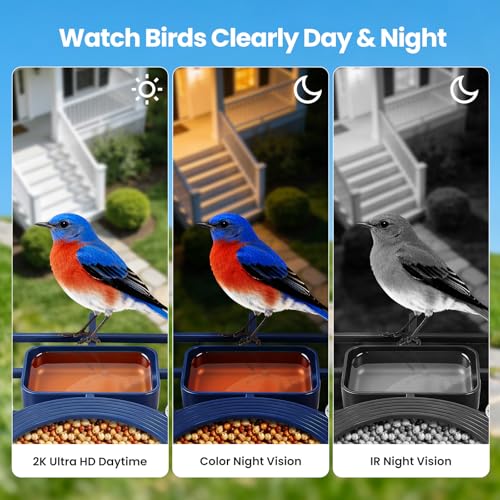 Smart Bird Feeder with Camera : 2K HD Video Live Stream, AI Birds Species Identification ＆ Instant Arrival Alerts, Solar Bird Feeder Camera for Outdoor Backyard - Ideal Gifts for Mom Dad Birdlovers - color: Blue