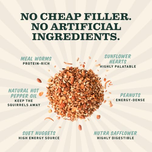 Mr. Bird Flaming Hot Feast Spicy Bird Seed Bell, 2-Pack | Premium Blend of Mealworms, Peanuts & Hot Pepper | Squirrel Repellent Bird Seed | Handcrafted in Texas - size: 1 Count (Pack of 2)