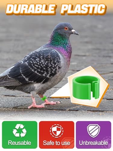 MEWTOGO 0.3in 100 Pcs Numbered Bird Pigeons Leg Identification Bands | Openable Reusable Readable 1-100 Poultry Leg Rings for Bantam Finch Dove Lovebird Coturnix Quail - size: 0.3in